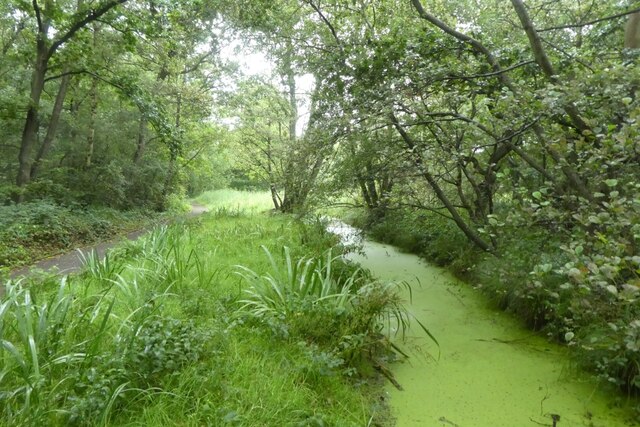 Picture of Askham bod during the spring.