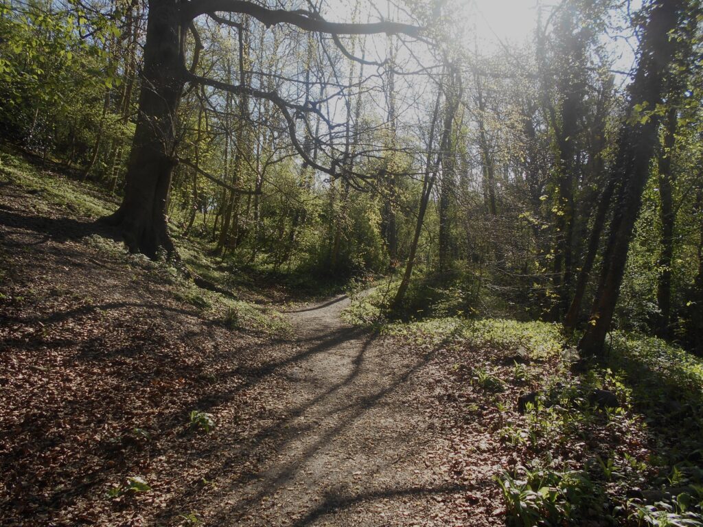 Knaresborough nature walk

