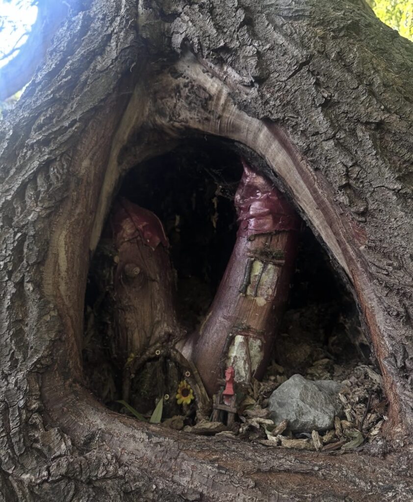 Photographed by Ruby Mason | Fairy House on Fairy Foss Trail